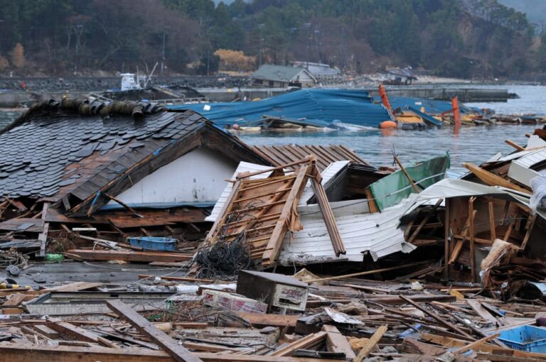 The outbreak of the unprecedented Great East Japan Earthquake and tsunami