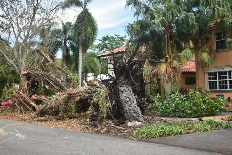 Hurricane Damages