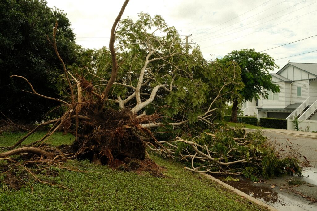 property damage
